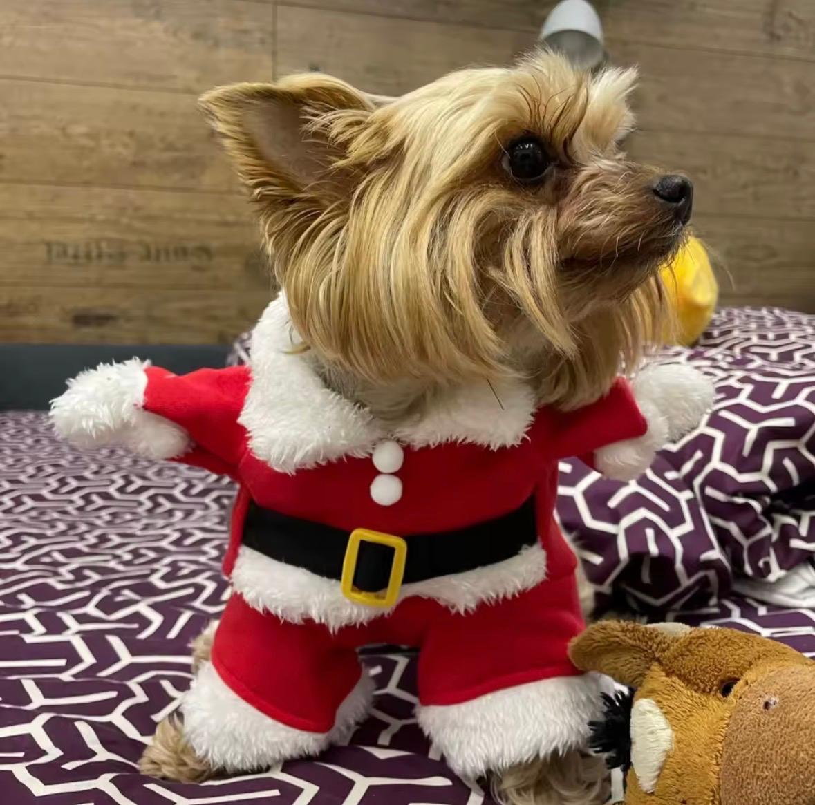 Santa's Shop Pet Christmas Coat